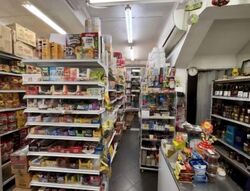 Indus Garden (D3), Shop House #540595711